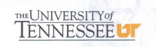 Forestry Consulting, Forest Management