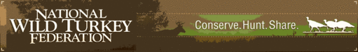 Wildlife Management, Turkey Management, Silviculture for Wildlife Management